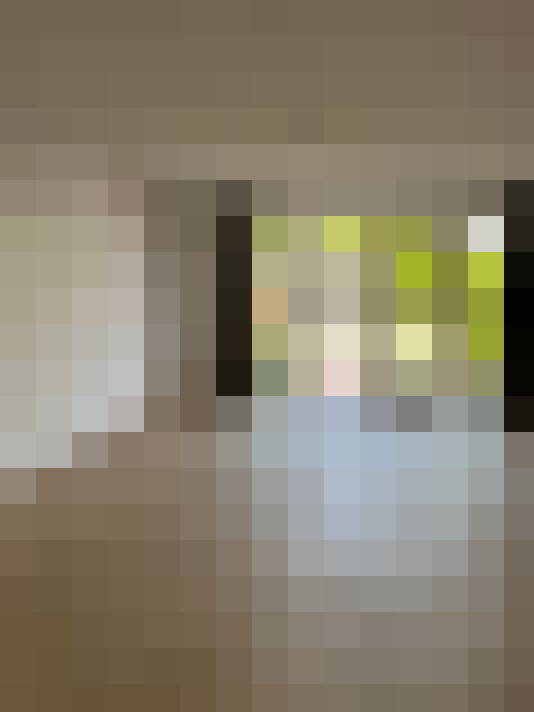 Image 13