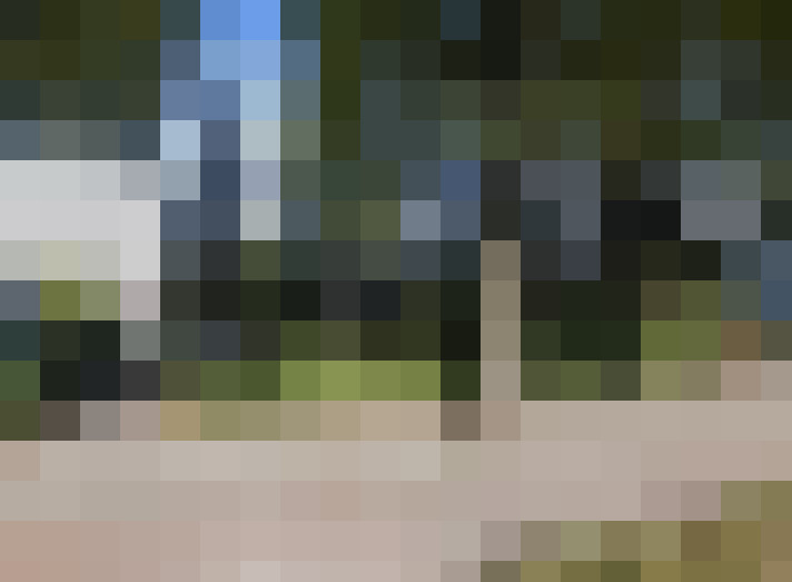 Image 23