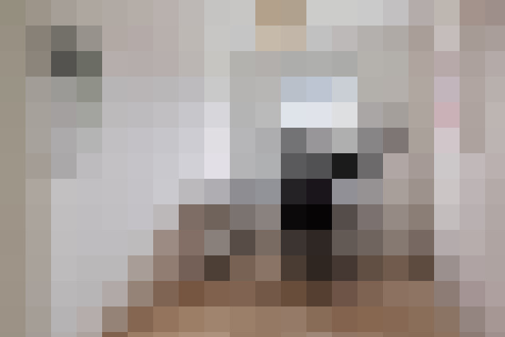 Image 20