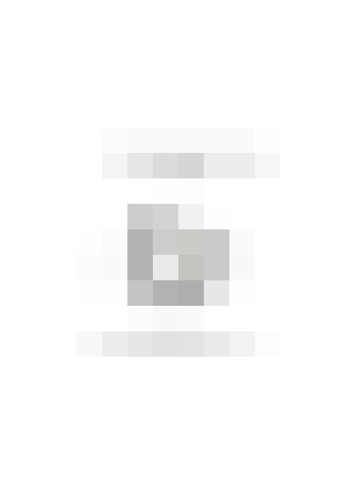 Image 29