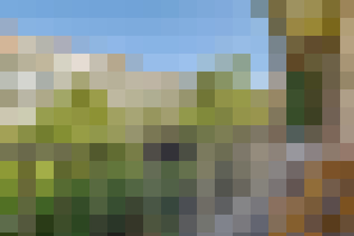Image 15