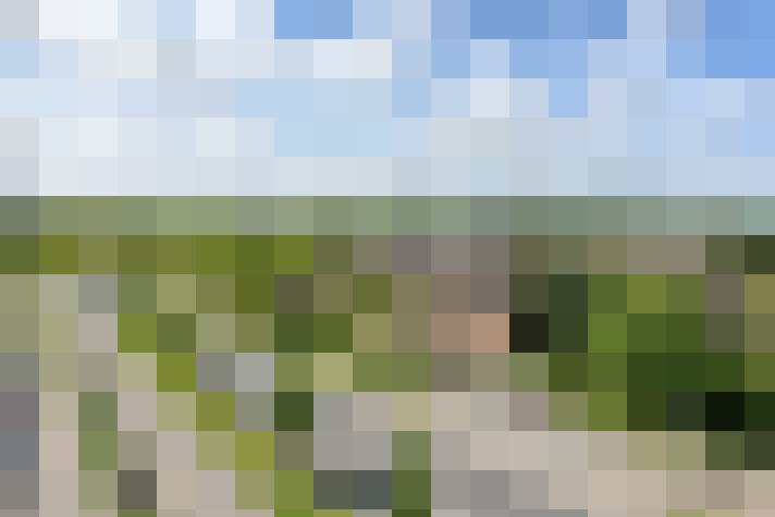 Image 15