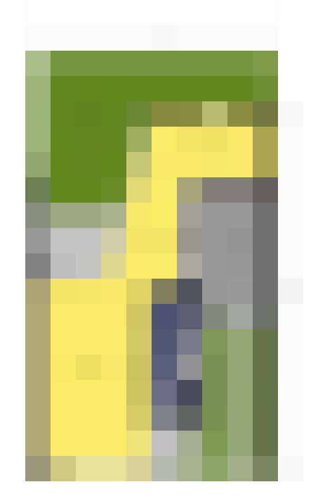 Image 16