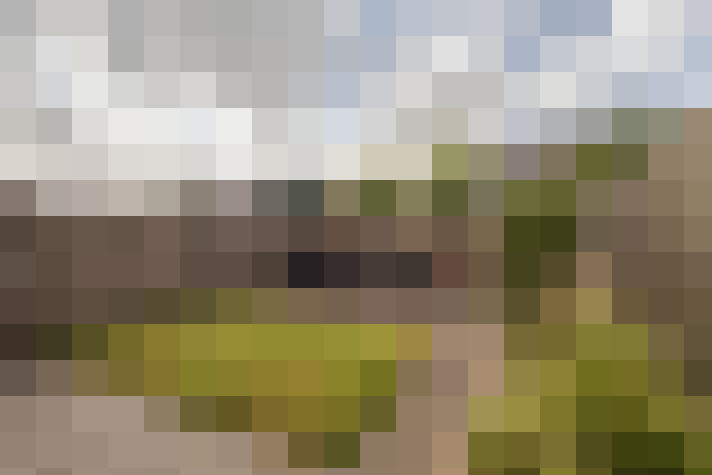 Image 31