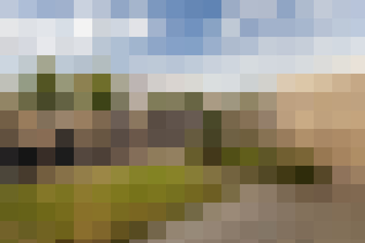 Image 30