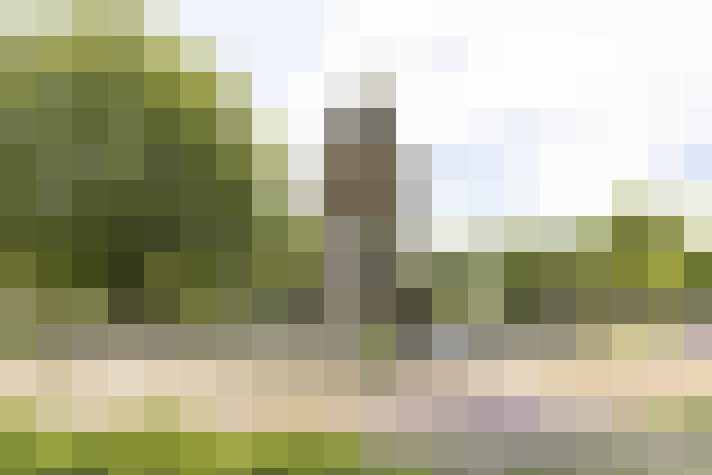 Image 29