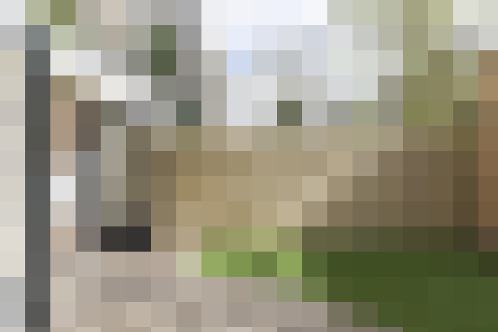 Image 24