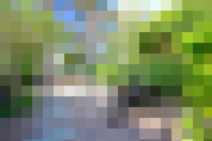 Image 39