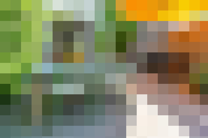 Image 36