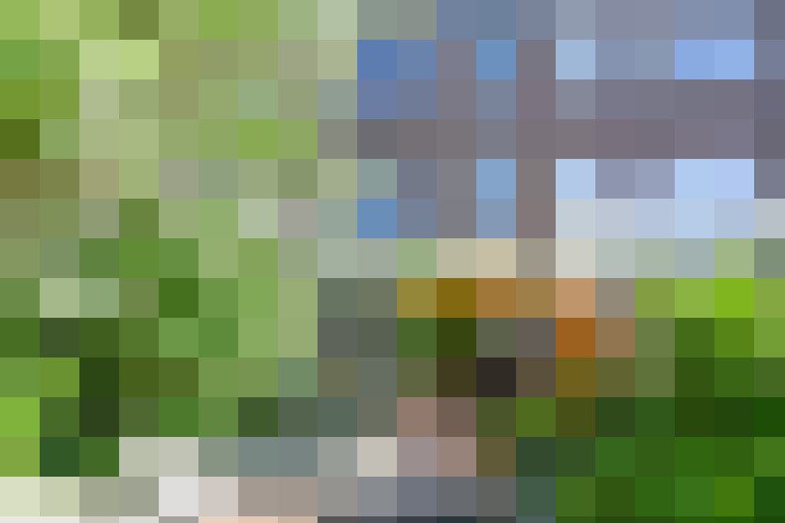 Image 35