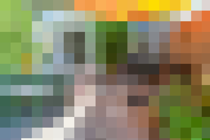 Image 32