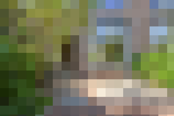 Image 37