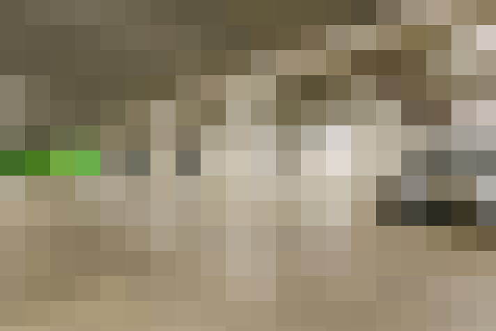 Image 16