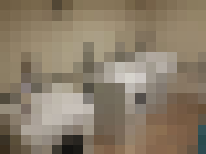 Image 17