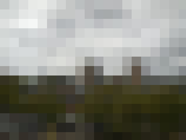 Image 20