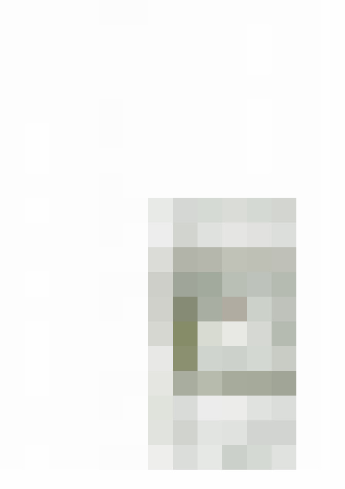 Image 32