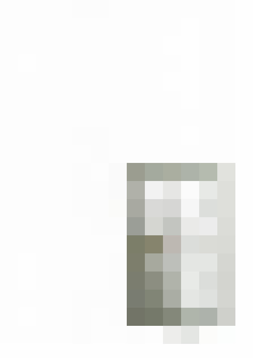Image 31