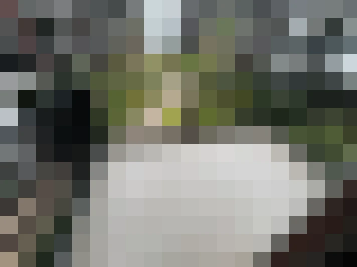 Image 13