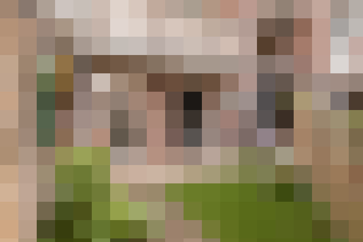 Image 17