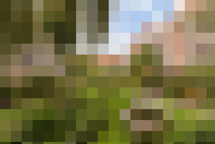 Image 25