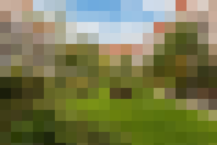 Image 26