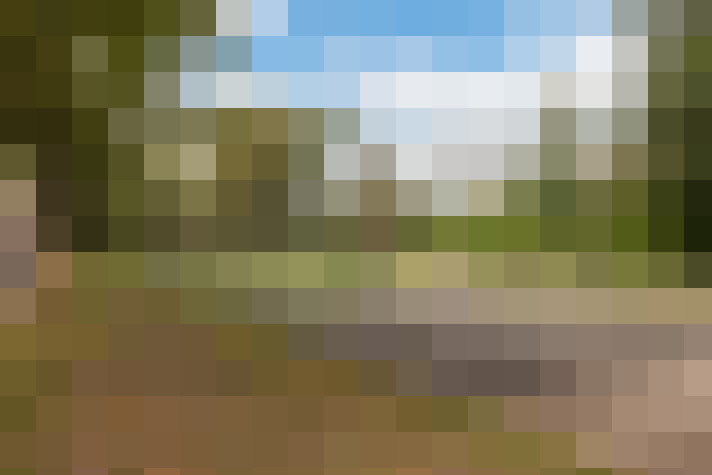 Image 28