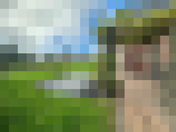 Image 41