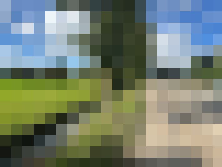 Image 46