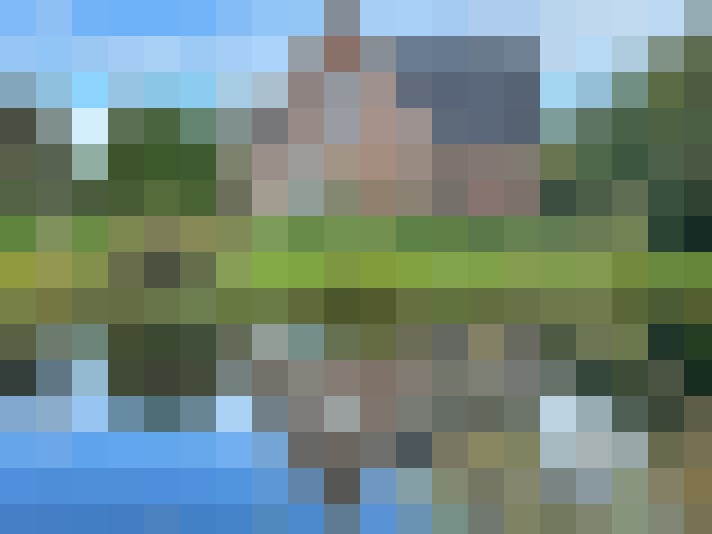 Image 39