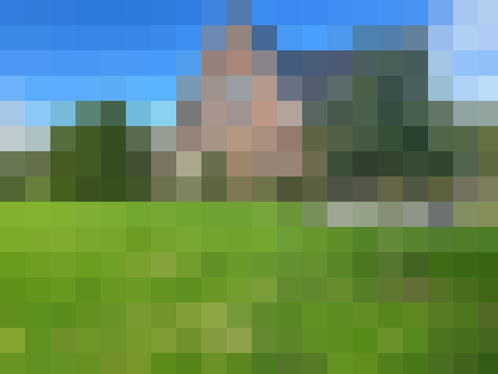 Image 42