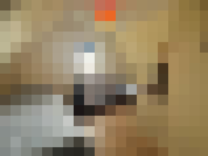 Image 28