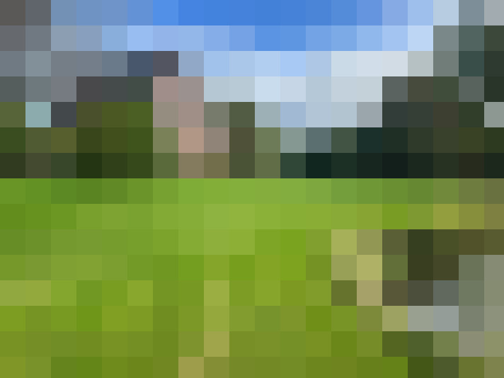 Image 40