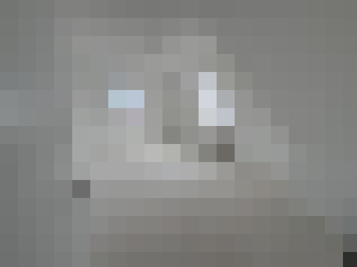 Image 25