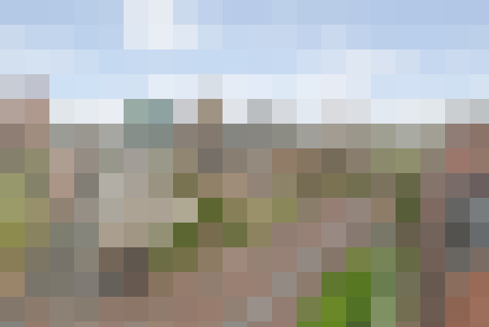 Image 26