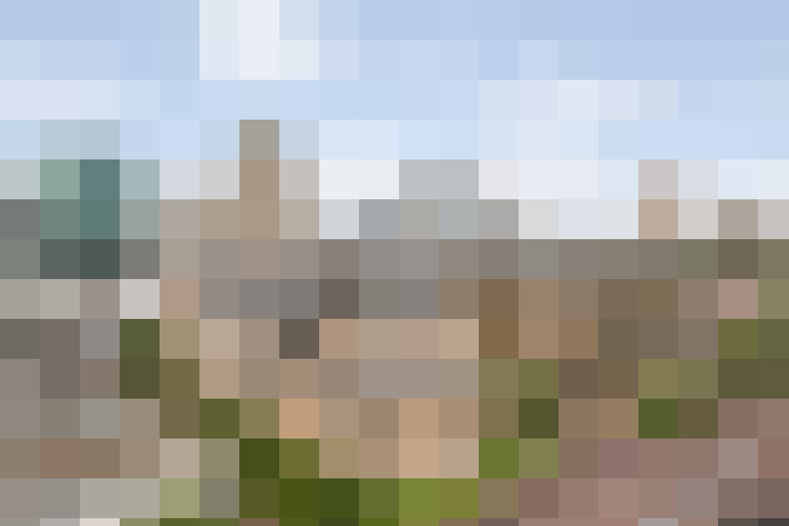 Image 25