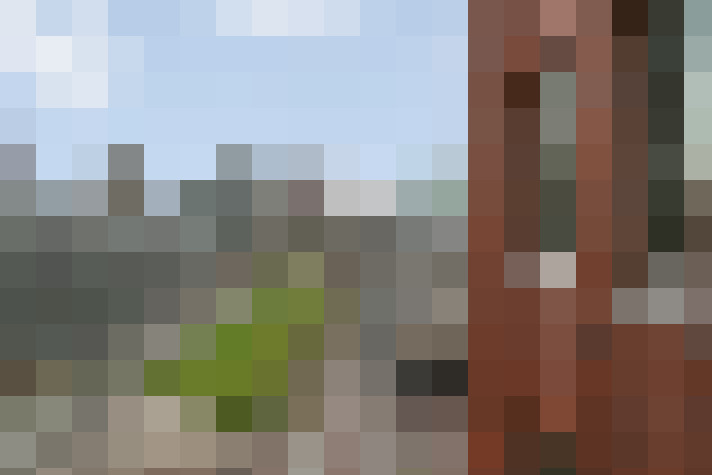Image 21