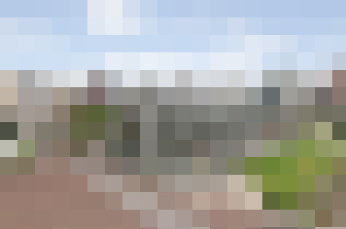 Image 23
