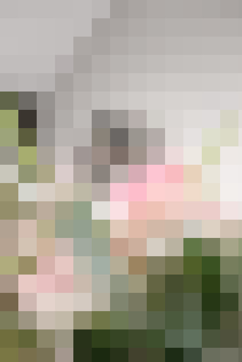 Image 34