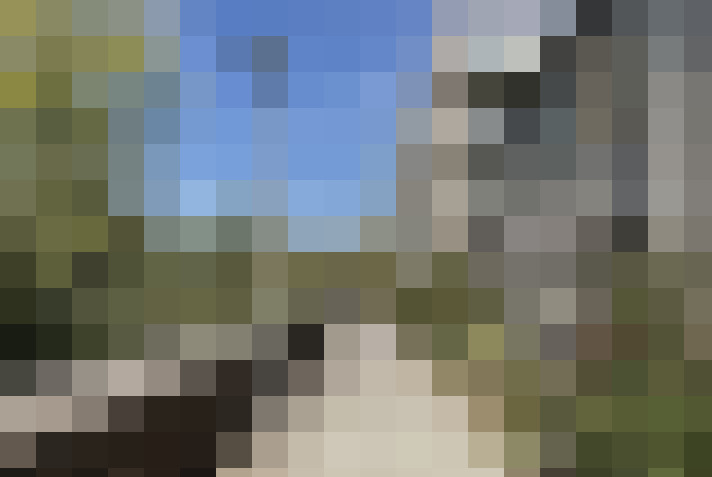 Image 22