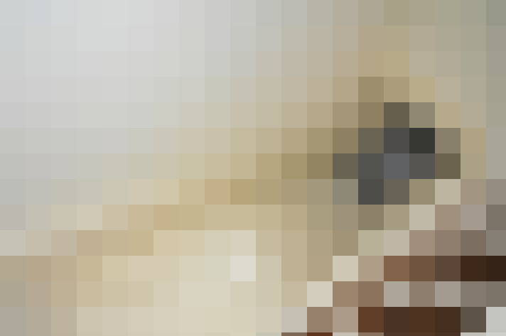 Image 30