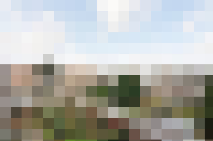 Image 29