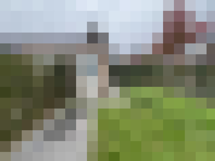 Image 24