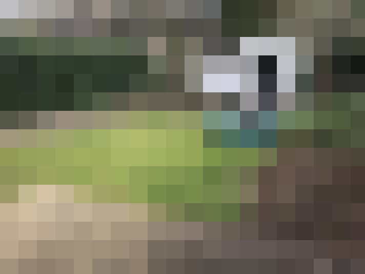 Image 29