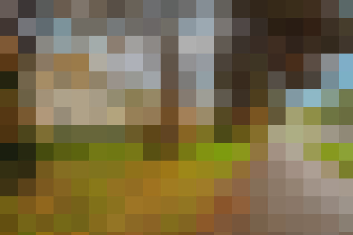Image 41