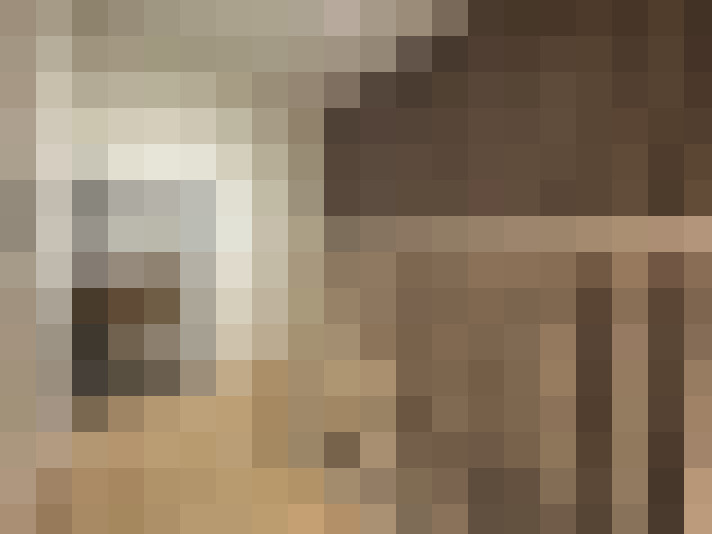 Image 22