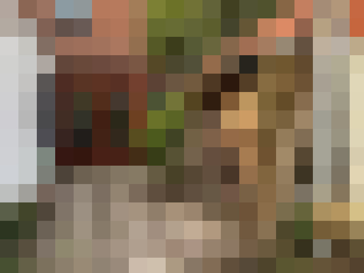 Image 25