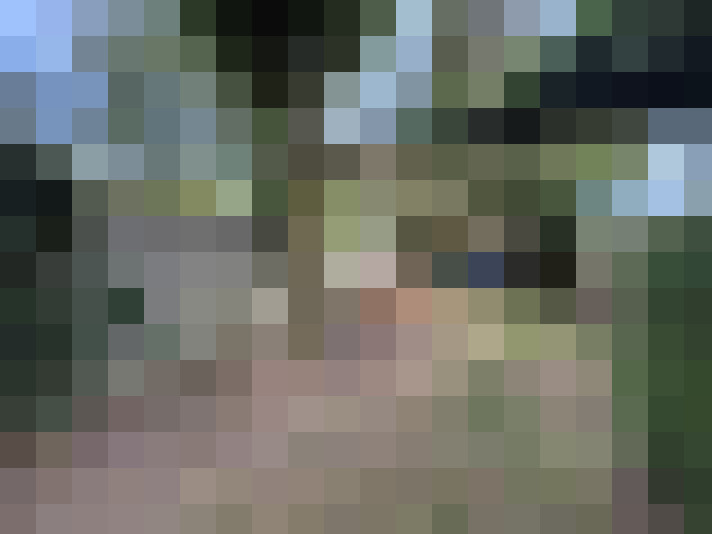 Image 27