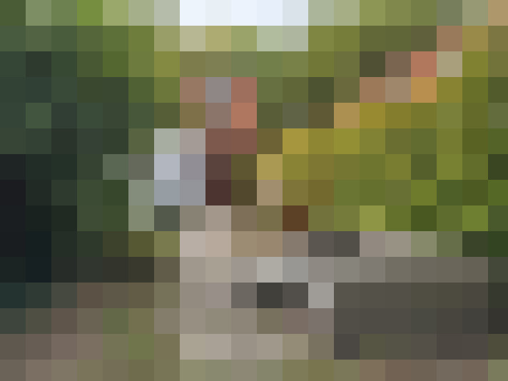 Image 26