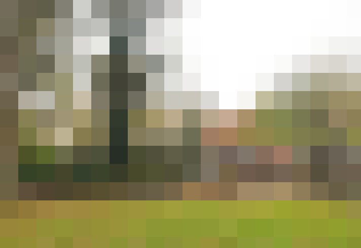 Image 25