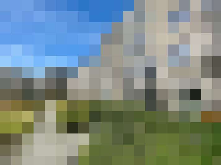 Image 27